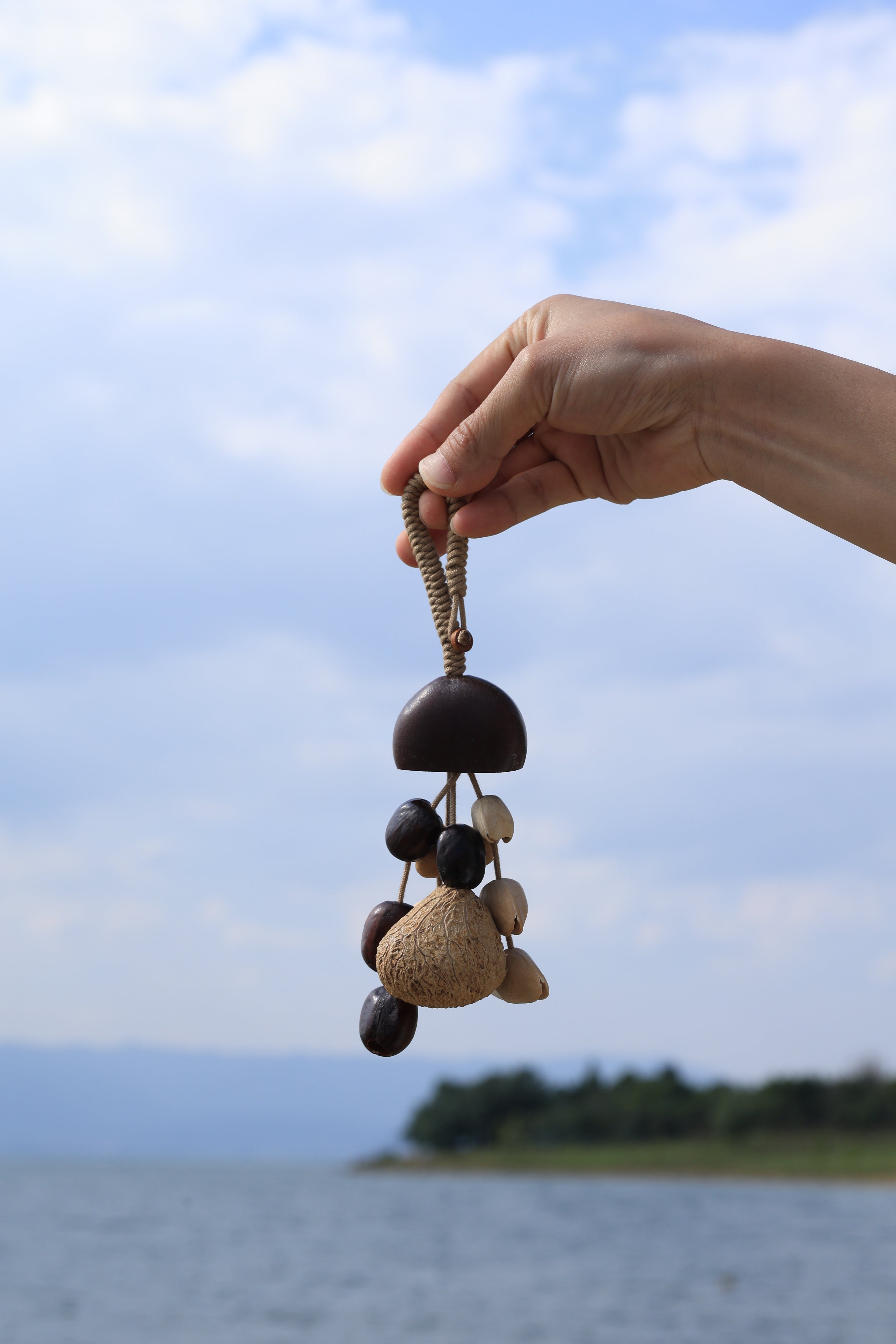 "The Forest Dome Chime" - Handcrafted Natural Seed Wind Bell with Dark Shell Cap