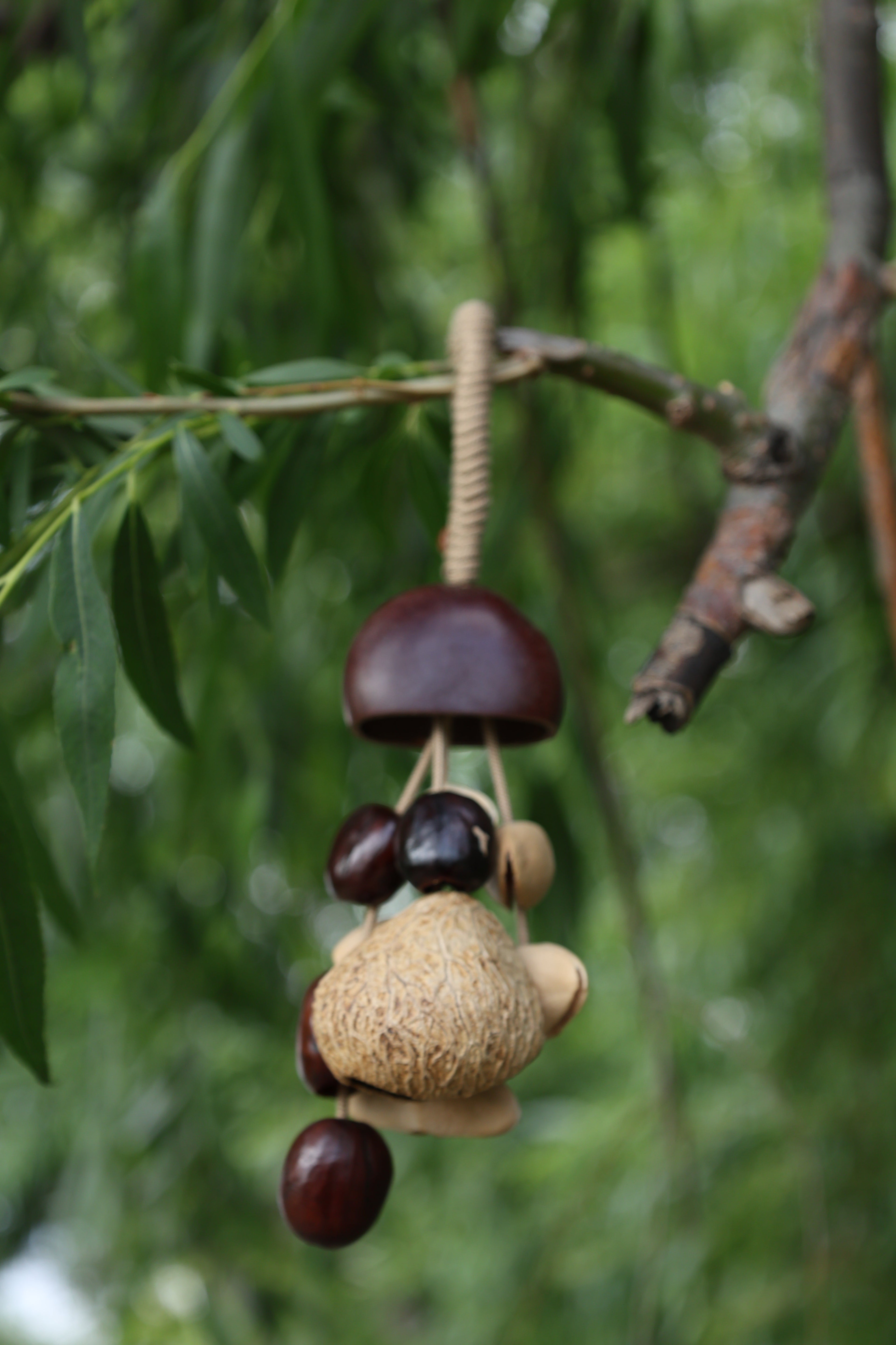 "The Forest Dome Chime" - Handcrafted Natural Seed Wind Bell with Dark Shell Cap