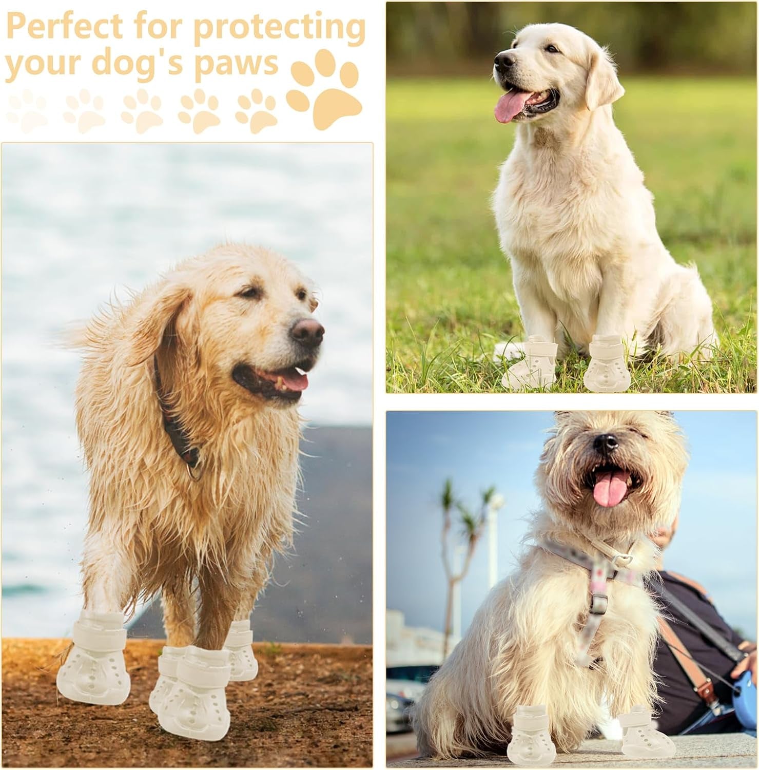 Adventure Croc-Style Dog Shoes – Breathable Paw Protection