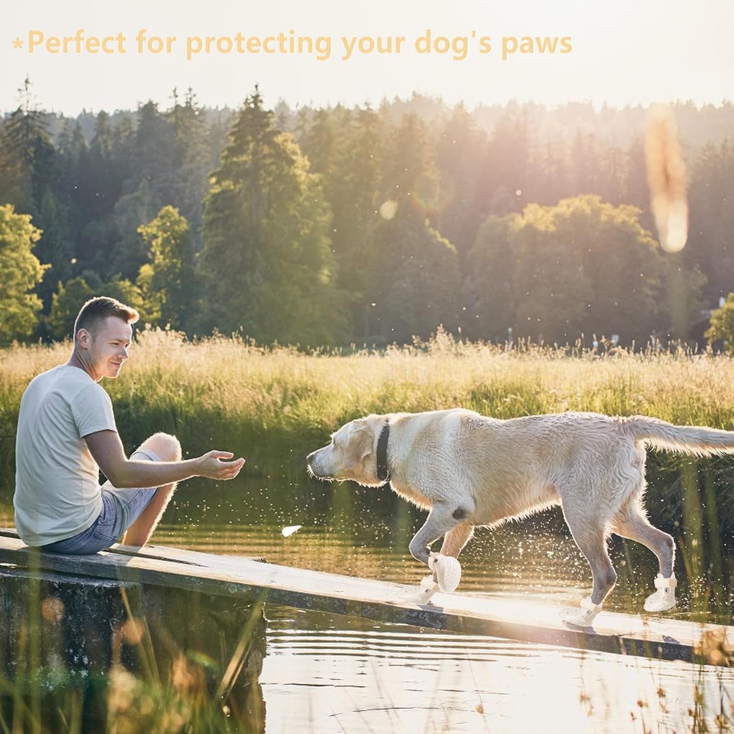 Adventure Croc-Style Dog Shoes – Breathable Paw Protection