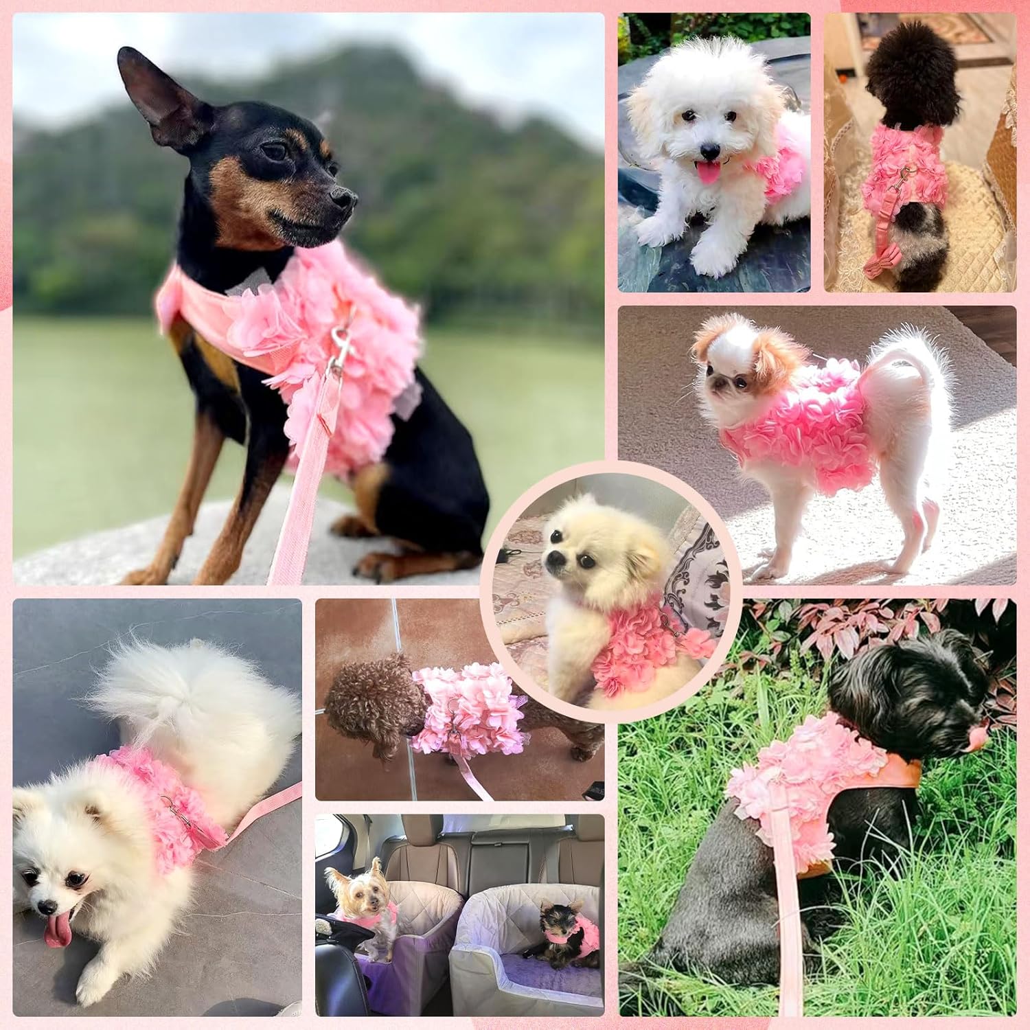 Luxury Floral Dog Harness and Leash Set – 3D Petal Puppy Vest Harness for Small Dogs & Cats