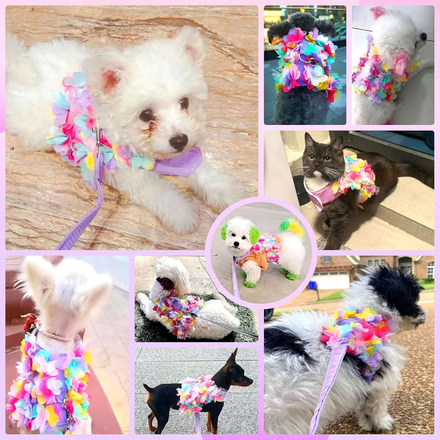 Luxury Floral Dog Harness and Leash Set – 3D Petal Puppy Vest Harness for Small Dogs & Cats