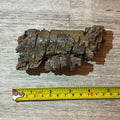 Camarasaurus rib section #5-006