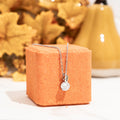 Autumn Citrus Grove Mystery Box Jewelry Shower Steamer