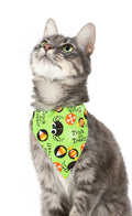 Trick Or Treat Spiders Pet Scarf-0