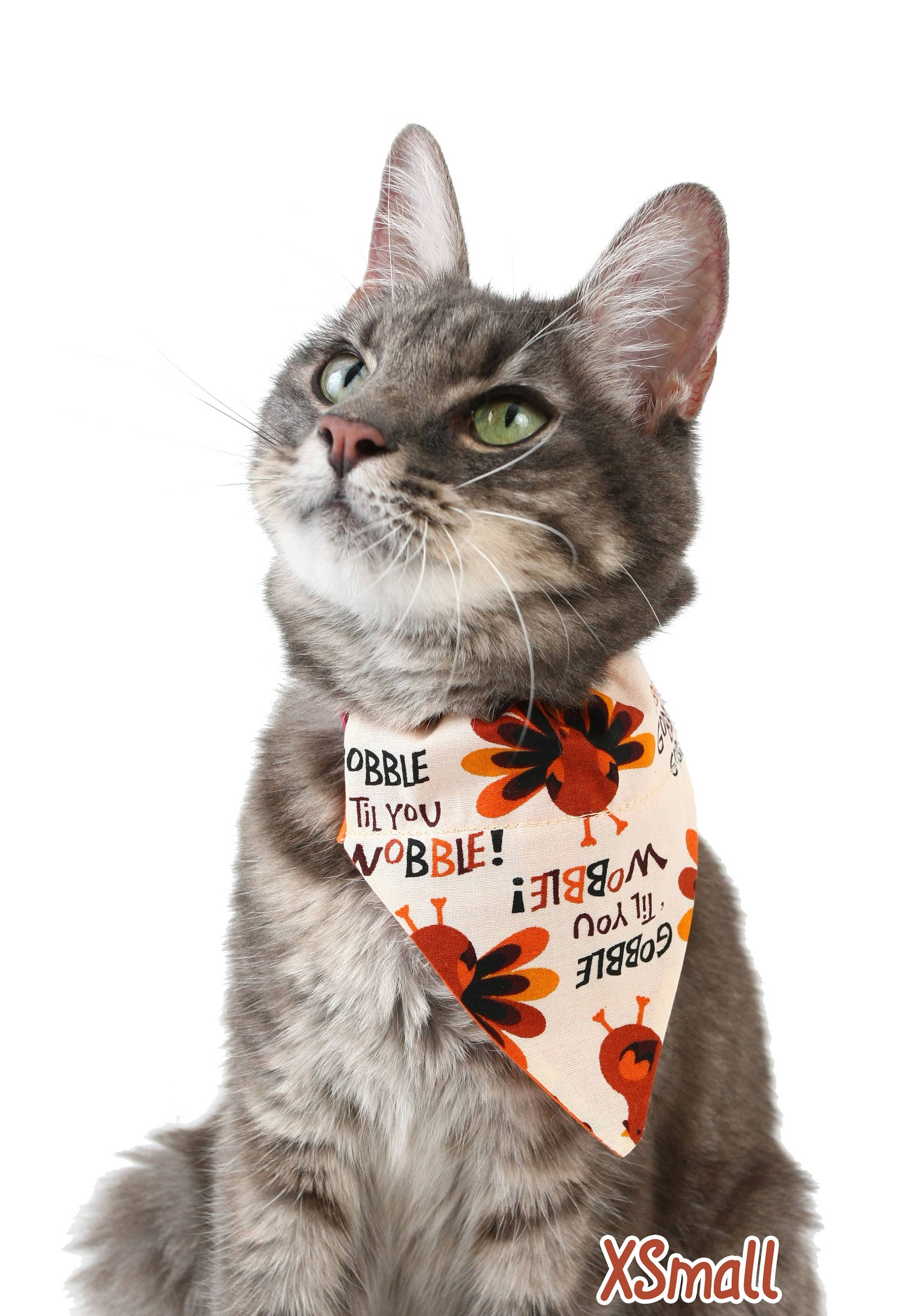 Gobble Til You Wobble Pet Scarf-0