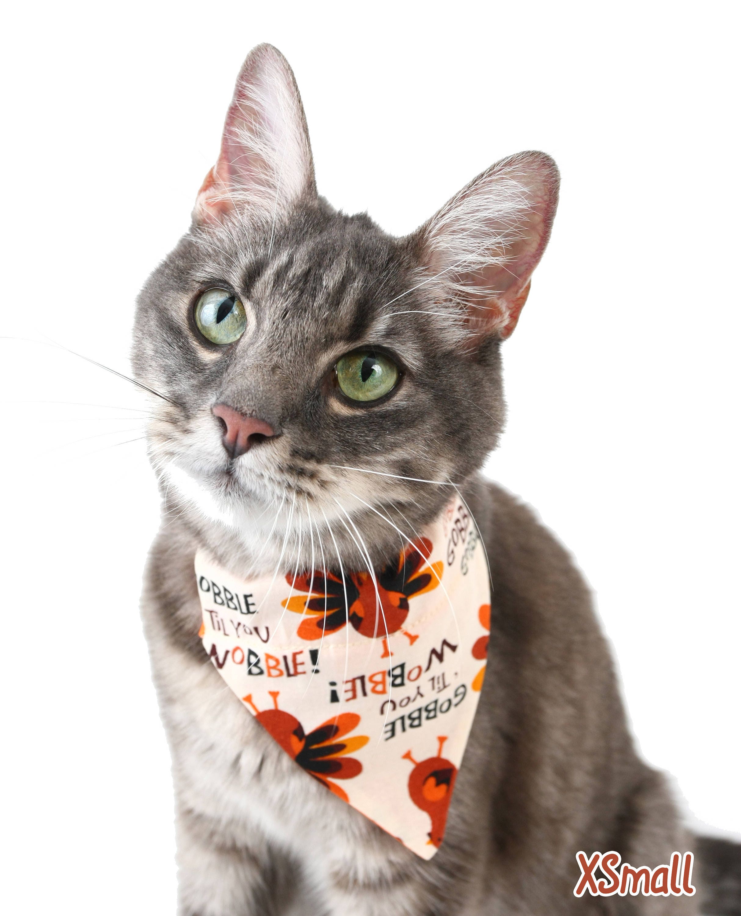 Gobble Til You Wobble Pet Scarf-1