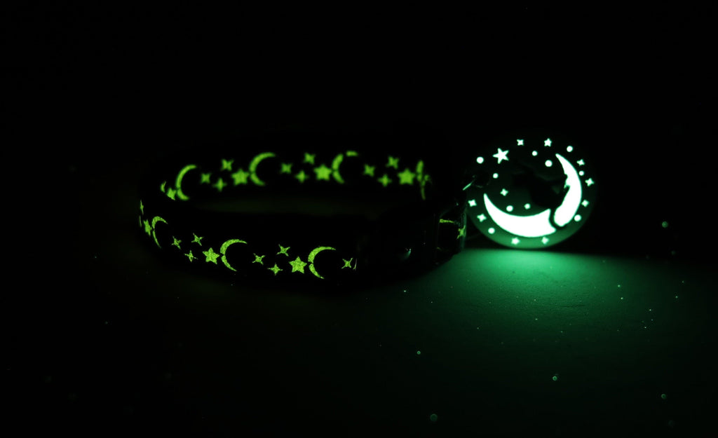 Silver Moons and Stars on Turquoise Cat Collar-2